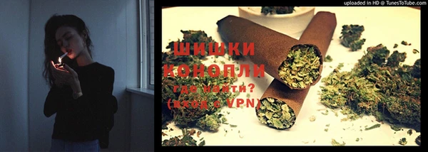 apvp Алзамай