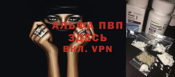 apvp Алзамай