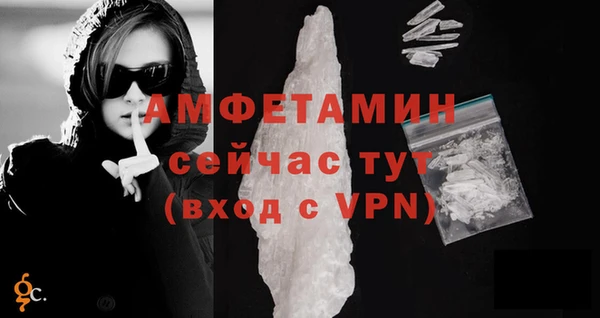 стафф Алексин