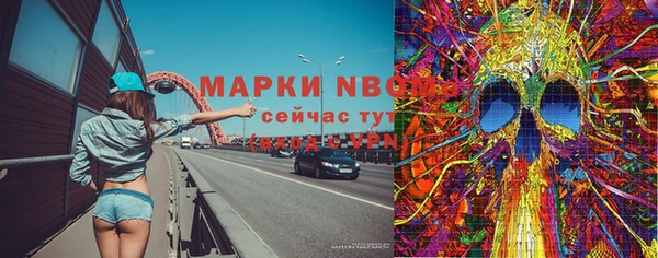 apvp Алзамай