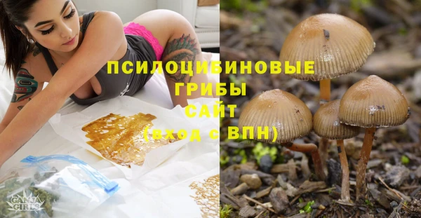 дмт Алексеевка