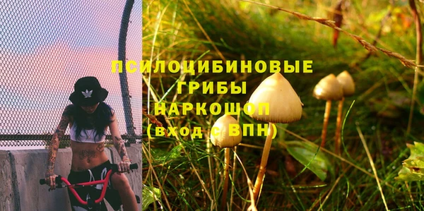 apvp Алзамай