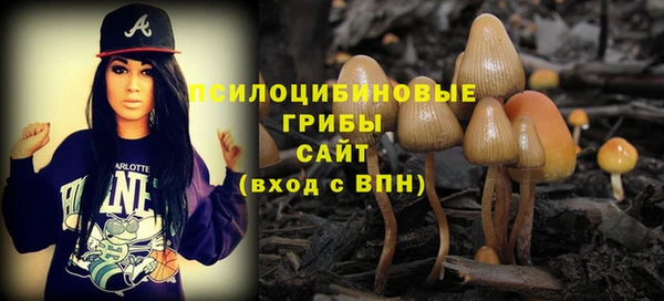 стафф Алексин